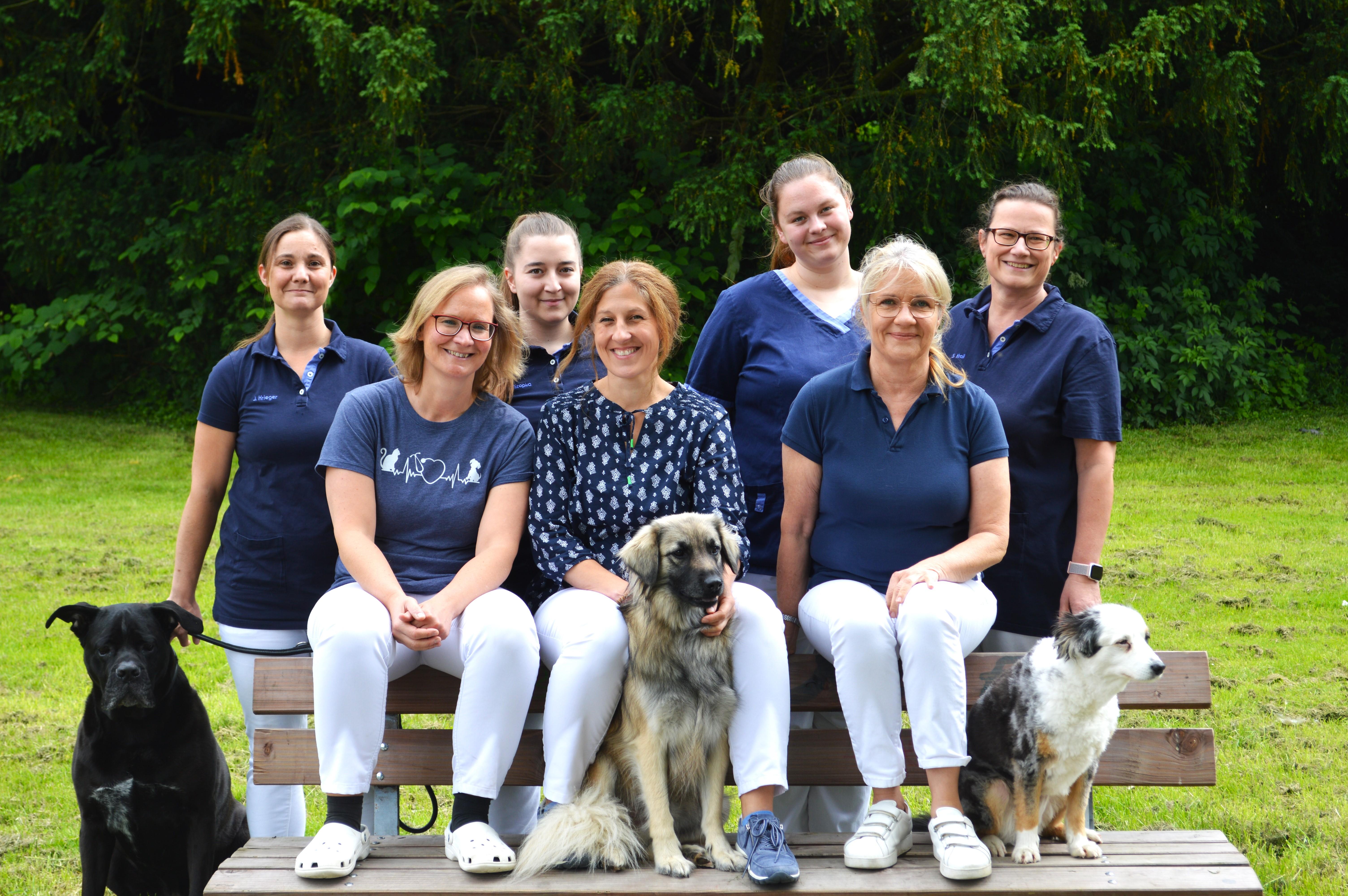 Tierarztpraxis an der Kaiserstraße Jennifer Hochgesang - unsere Vision